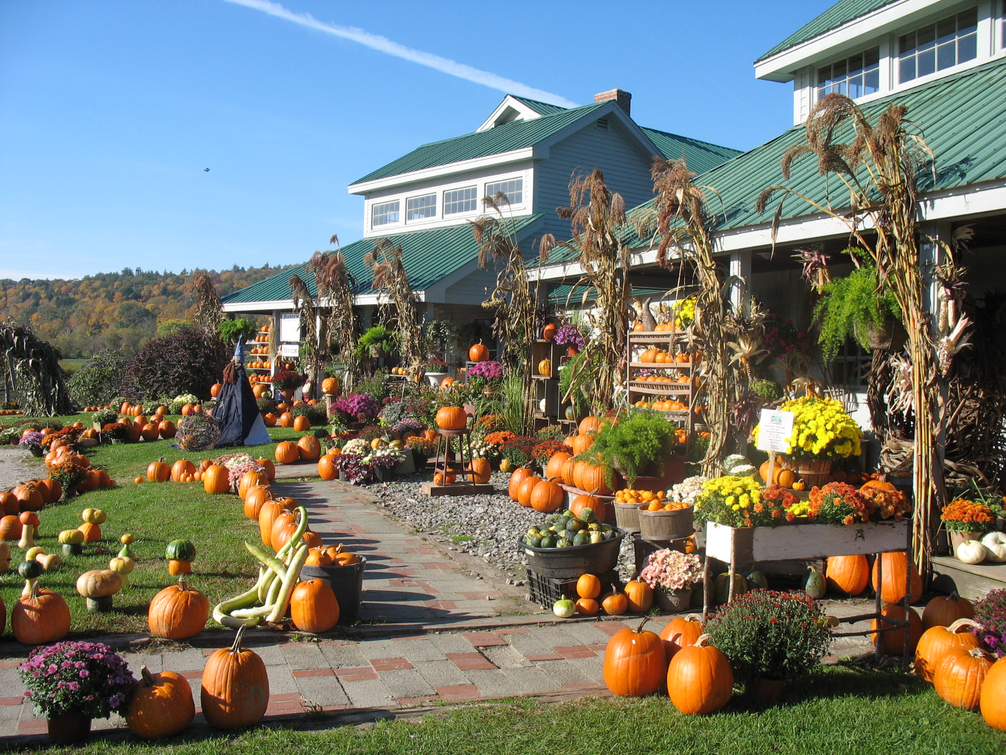 farmstand Harlow Farm