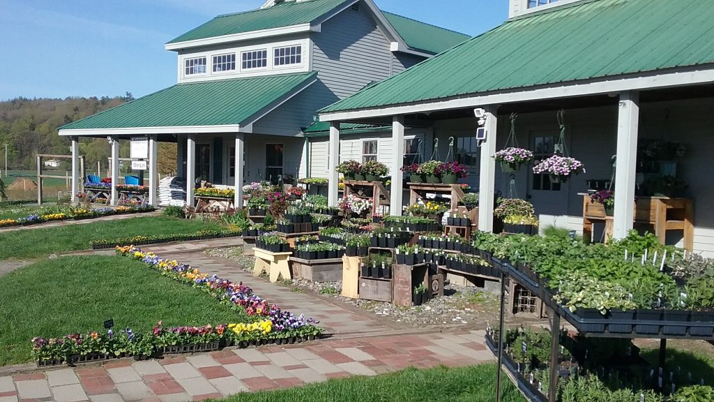 Farmstand Harlow Farm